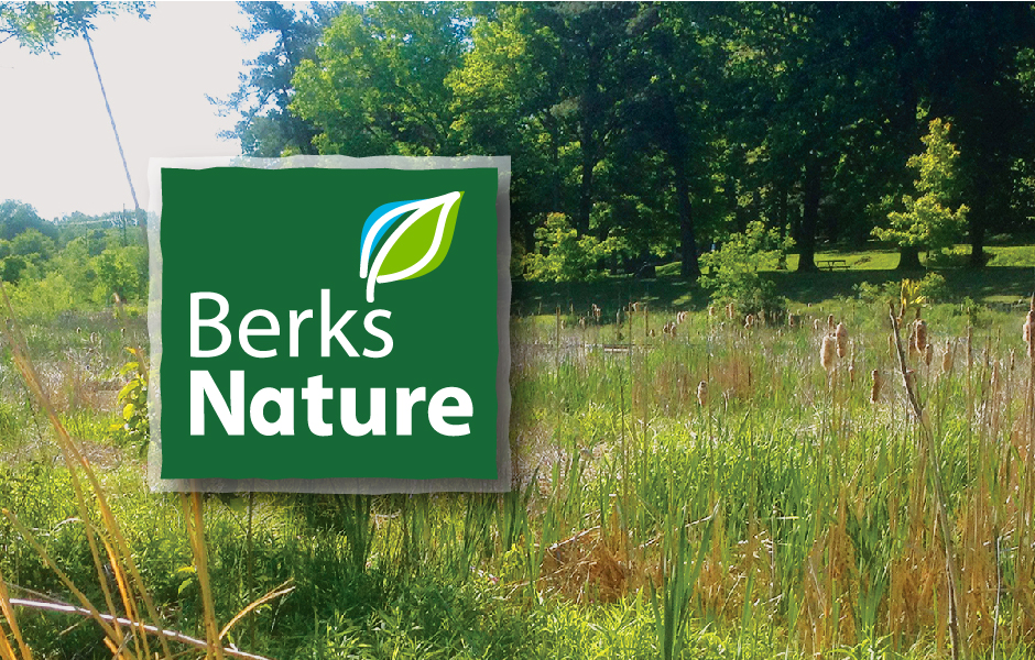 Berks Nature Logo, organic green square with leaf, along with meadow photo