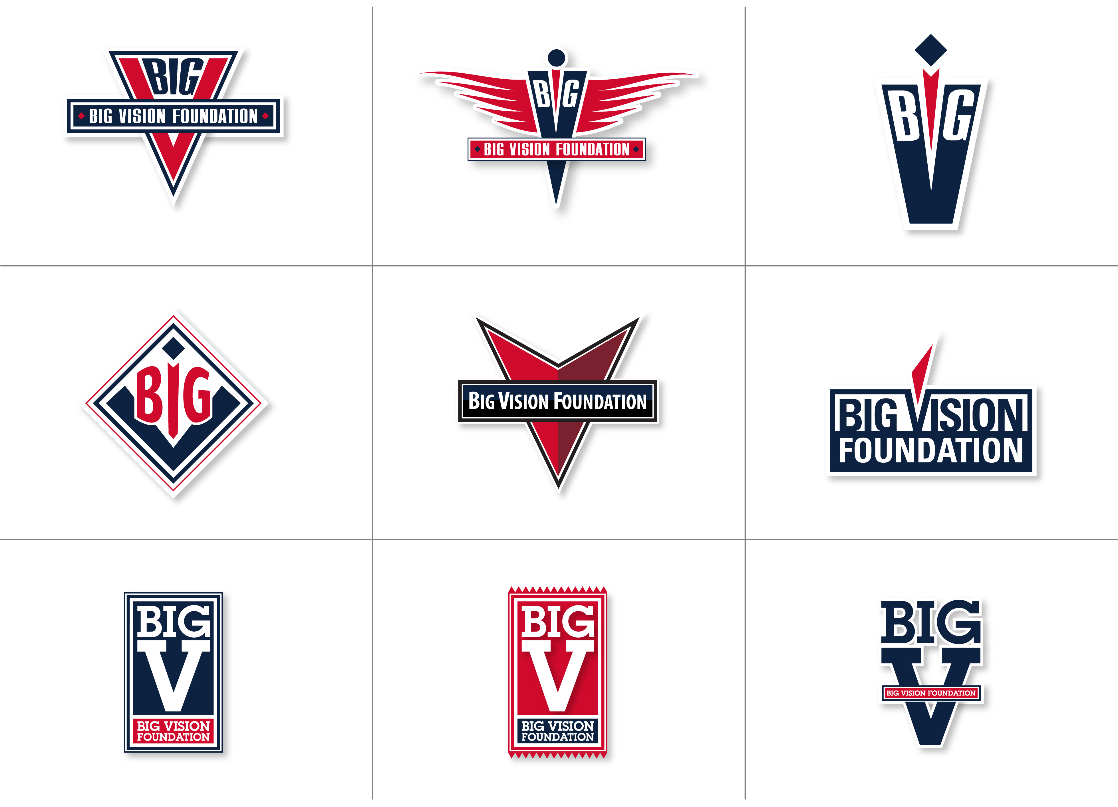 BIG Vision Foundation Logo Development, six variations