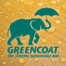Greencoat Logo, green elephant with umbrella on corrugated board with water drops