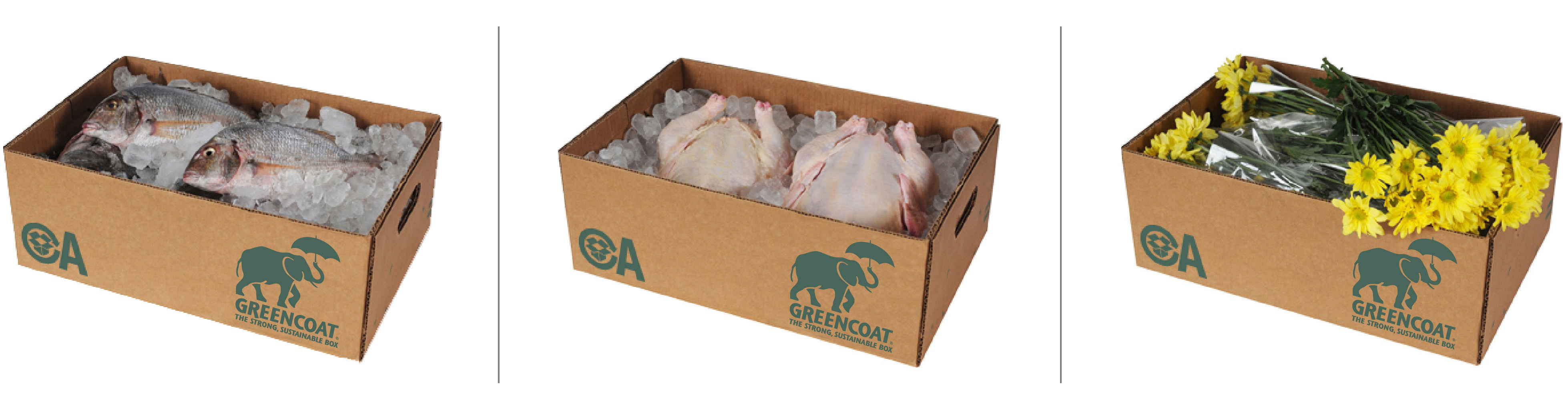 Greencoat Boxes, with fish, poultry and flowers